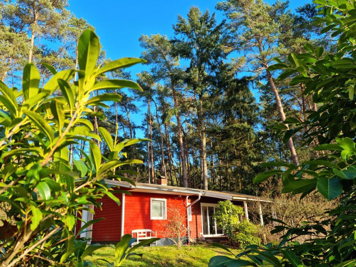 Waldhaus Doetlingen Ferienhaus Im Naturpark Exterior foto