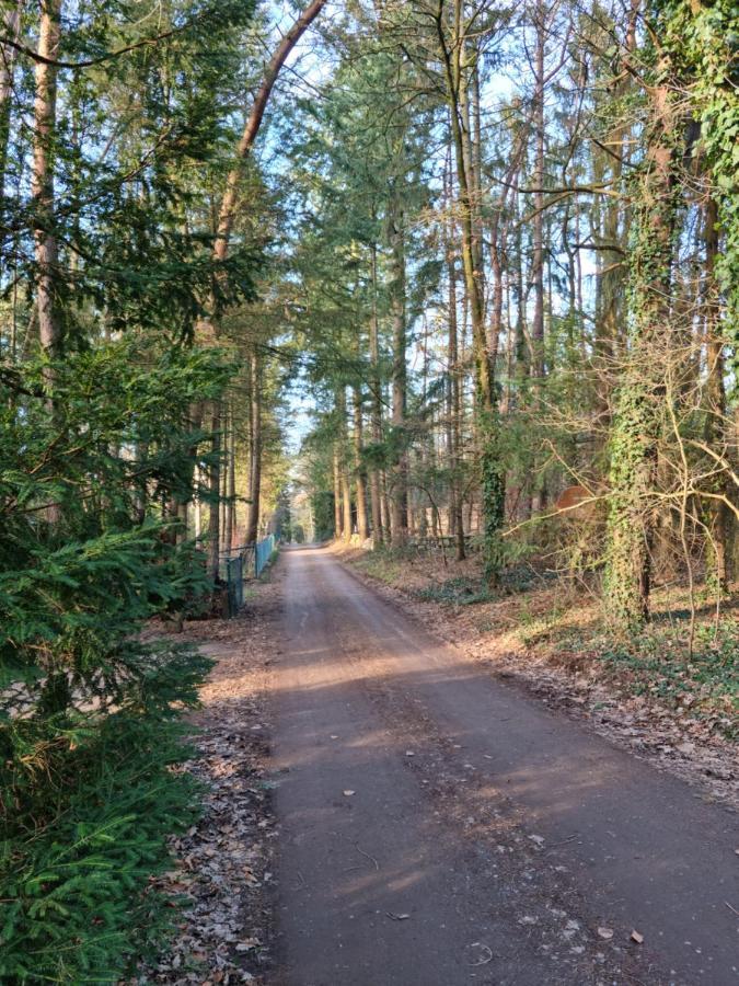 Waldhaus Doetlingen Ferienhaus Im Naturpark Exterior foto