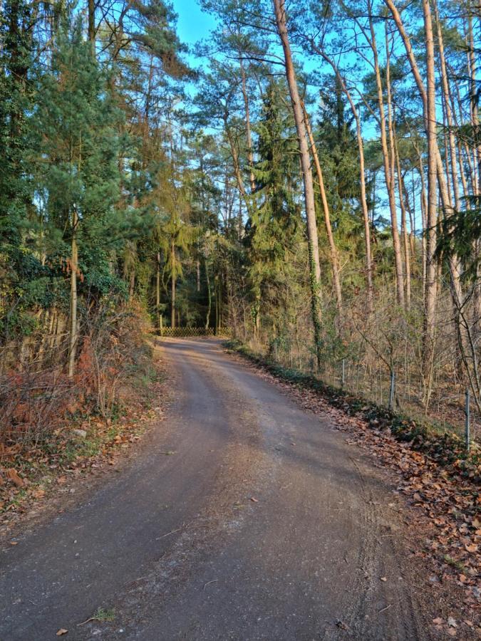 Waldhaus Doetlingen Ferienhaus Im Naturpark Exterior foto